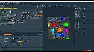 Differential Interference Contrast (DIC) Image Segmentation and Quantification using Deep Learning