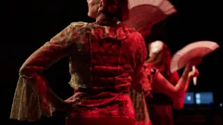 Flamenco Leerlingenvoorstelling in Enschede 2023/ Guajira