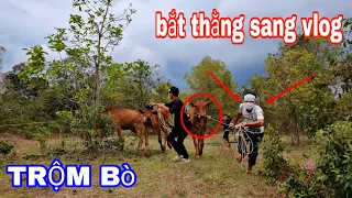 MẶT TRÁI CỦA SỰ THẬT | Sang Vlog Ăn TRỘM Bò Của Team Bán Lấy Tiền