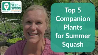 🌱 Top 5 Companion Plants for Summer Squash + a Bonus Tip to Help Battle Squash Bugs!