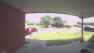 Snake Attacks Man, Caught On Doorbell Camera