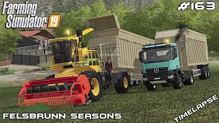 1.000.000 ALFALFA silage harvest | Animals on Felsbrunn Seasons | Farming Simulator 19 | Episode 163