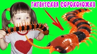 Гигантская сколопендра! Обзор новой игрушки Giant skolopendra! Review of a new toy