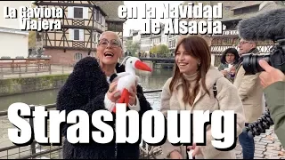 La Gaviota Viajera #83: En Strasbourg (primer día), la Navidad de Alsacia