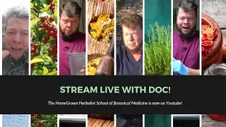 Herbal First Aid! Live Stream With Doctor Jones!