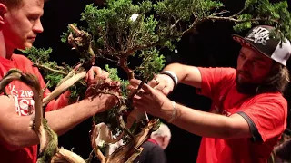 Milan Karpíšek Bonsai demo