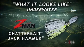 Z-Man / Evergreen Jack Hammer Chatterbait UNDERWATER