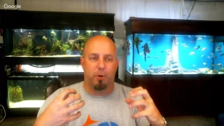 Controlling Ammonia In Your Aquarium! Tank Talk Live Pres. By KGTropicals!!