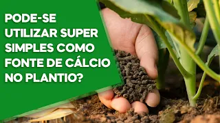 PODE-SE UTILIZAR SUPER SIMPLES COMO FONTE DE CÁLCIO NO PLANTIO?