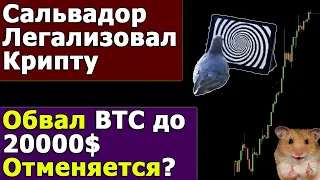 Сальвадор принял Биткоин. Весь Обвал Выкупили. Вот что Будет Дальше