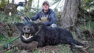 Bowhunting winter boars.