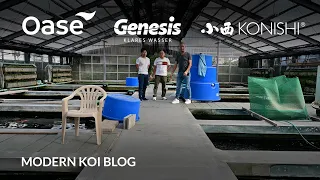 Modern Koi Blog #5566 - Live auf Japan - Der erste Besuch im Glashaus