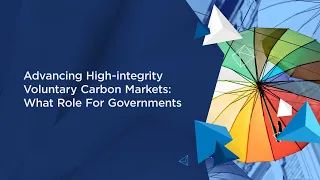 I4C 2023: Advancing High Integrity Voluntary Carbon Markets