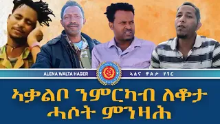 ኣቃልቦ ንምርካብ እንቅዓ ሓሶት ምንዛሕ!