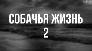 podcast | Собачья жизнь 2 (2019) - #рекомендую смотреть, онлайн обзор фильма