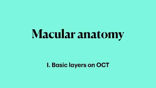 Macular anatomy - basic layers on OCT