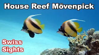 House Reef Mövenpick Resort Extra Divers El Quseir Egypt 4K