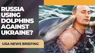Is Russia using trained dolphins against Ukraine?