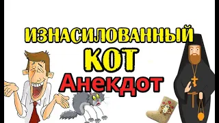 АНЕКДОТ ПРО ИЗНАСИЛОВАННОГО КОТА И ПОПА, АНЕКДОТ ДО СЛЕЗ.