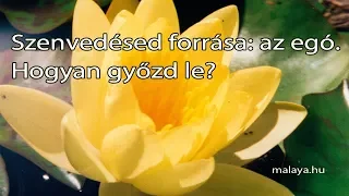 Szenvedésed forrása az ego. Hogyan győzheted le? - Malaya előadás - Sri Chinmoy tanítása