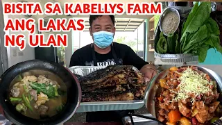 CUSTOMER SA KABELLYS FARM INABUTAN NG MALAKAS NA ULAN AT KIDLAT / ANG DAMING PINA LUTO #DARIO GUIAO