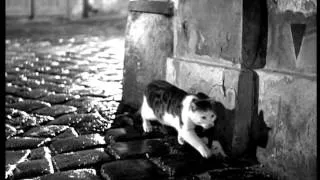 Third Man, cat scene