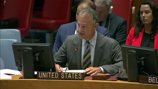 Remarks at a UN Security Council on Yemen