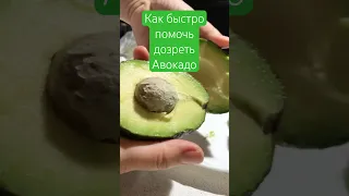 Самый бустрый способ дозреть авакадо.