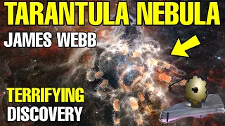 Terrifying Discovery By James Webb Space Telescope Tarantula Nebula | 30 Doradus #jameswebb #jwst