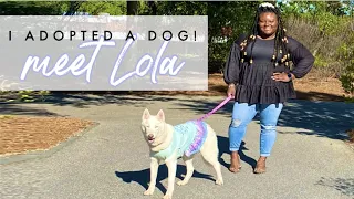 I Adopted a DOG😱 Meet Lola 💗
