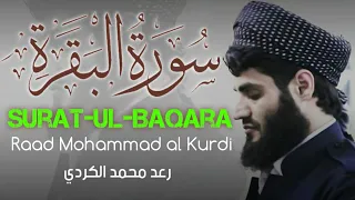 Surah Ul Baqara Full || Raad Mohammed Al Kurdi سوره البقره رعد محمد الكردي