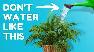 9 Everyday Habits Keeping Your Plants Unhealthy