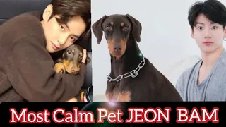 BTS With BAM: Most Calm Dog 🐶🐕🐶