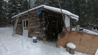 Staying in a remote off grid trappers cabin and catching a wolverine!