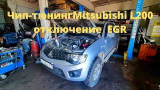 Отключаем клапан EGR на Mitsubishi L200 (chip-tuning )