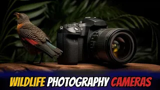 Best Cameras for Wildlife Photography 2024: Who is the NEW #1?
