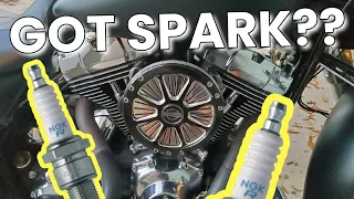 Changing SPARK PLUGS on YOUR HARLEY