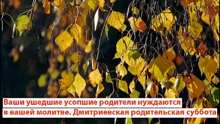 Дмитриевская родительская суббота ноябрь. Ваши усопшие родители нуждаются в вашей молитве