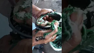 Bearing Sarvice Add Grease | ऐसे करें ग्रेस 100 साल सलेगी बियरिंग | #shorts #ytshorts #bearing #skf