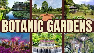 Explore Singapore Botanic Gardens