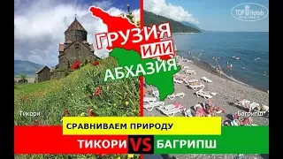 Грузия VS Абхазия.  Сравниваем природу. Тикори и Багрипш