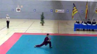 wushu ibiza2010 puños jlbelloch