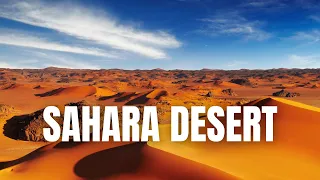 Top 5 Places To Visit In The Sahara Desert- Travel Video