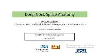 Head & Neck | Radiology | Deep Neck Space Anatomy | Dr Ashok Adams