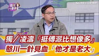 獨／凌濤「挺傅派比想像多」 憨川一針見血「他才是老大」｜三立新聞網 SETN.com