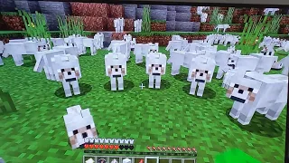 Attacking one wolf in front of about 64 WOLVES!!! Minecraft