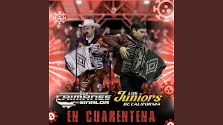 Lobo Guardian (El Cheyo) (feat. Los Juniors De California)