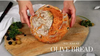 No Knead Olive Bread | Easy Bread For Beginners