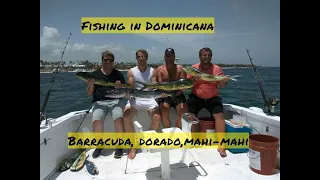 Рыбалка в Доминикане. Fishing in Dominicana. Barracuda, Dorado, Mahi-mahi.