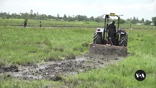 Smallholding farmers in Kenya hop on tractors, see profits rise | VOANews